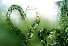 国际足球盛宴，女子队伍斩获佳绩！