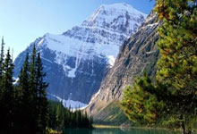 国际足球盛宴，女子队伍斩获佳绩！