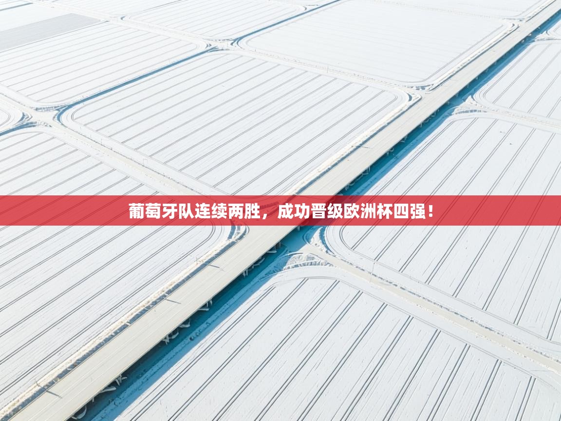 葡萄牙队连续两胜，成功晋级欧洲杯四强！