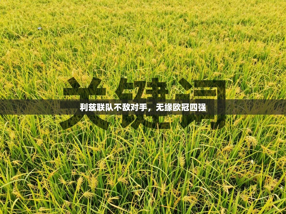 利兹联队不敌对手,无缘欧冠四强 第1张