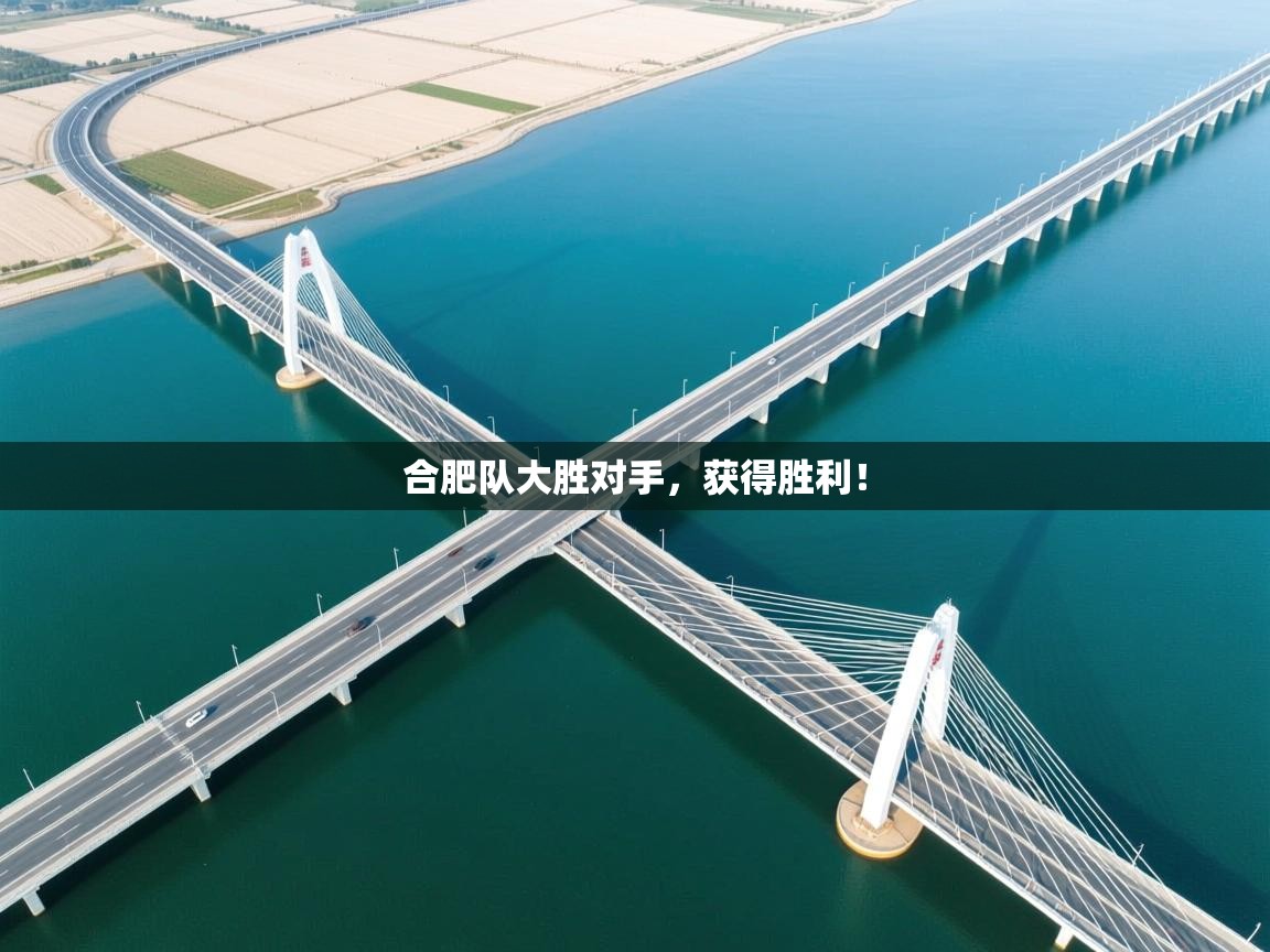 合肥队大胜对手，获得胜利！  第1张