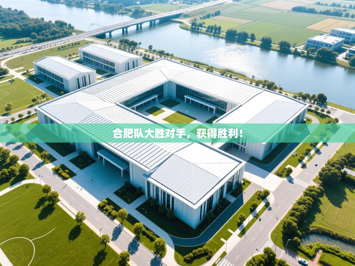 合肥队大胜对手，获得胜利！  第2张