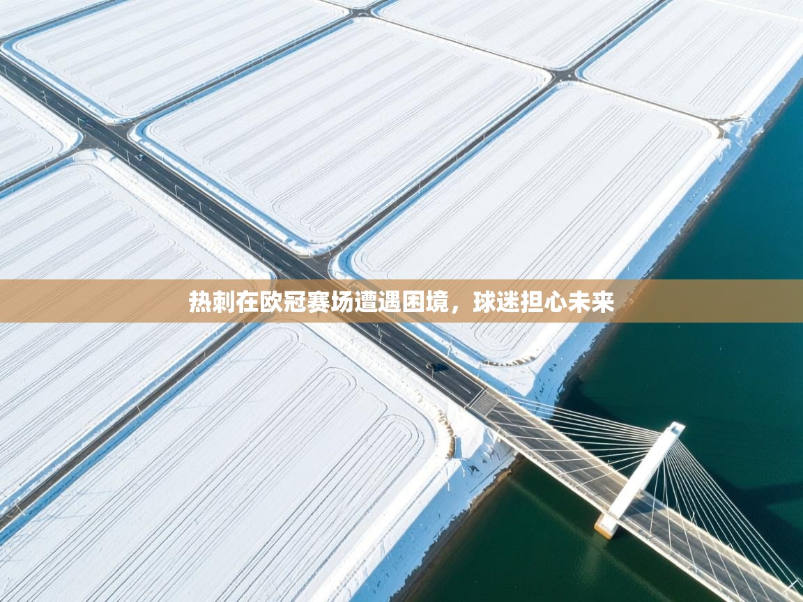 热刺在欧冠赛场遭遇困境，球迷担心未来  第1张