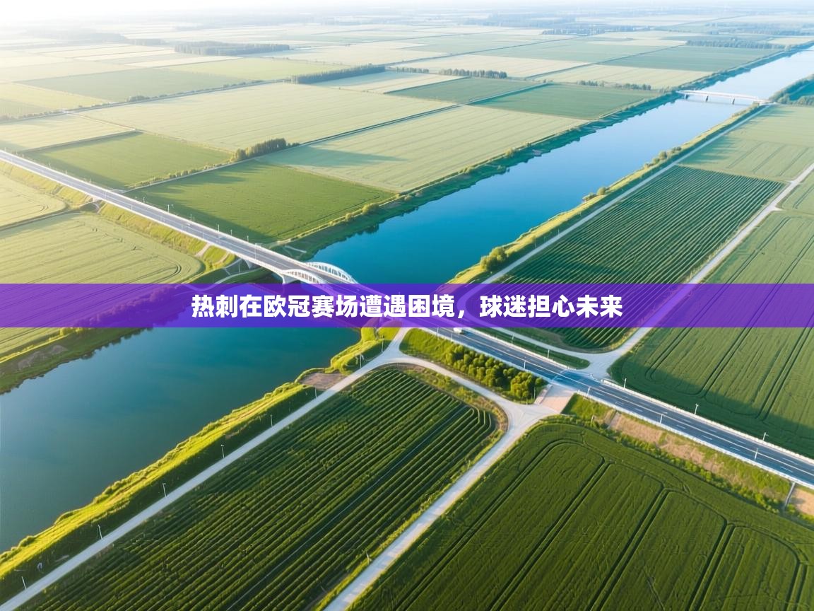 热刺在欧冠赛场遭遇困境，球迷担心未来  第2张