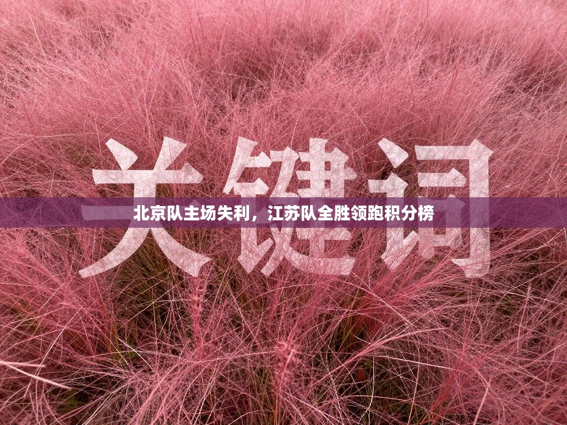 北京队主场失利，江苏队全胜领跑积分榜